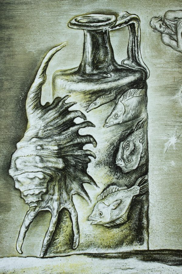 Vessel+Shell - Image 2
