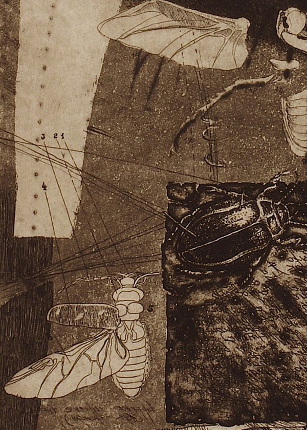 Psychodelic Factory of Objects (Laboratorium Dr.M series). Plate 2 - Image 3
