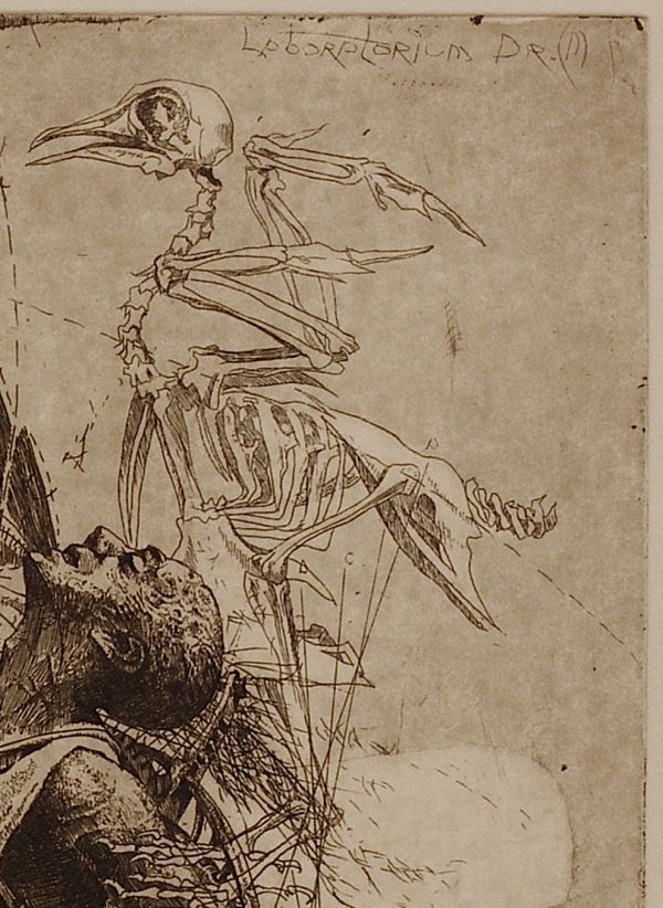 Mechanics of Flight (Laboratorium Dr.M series). Plate 3 - Image 3