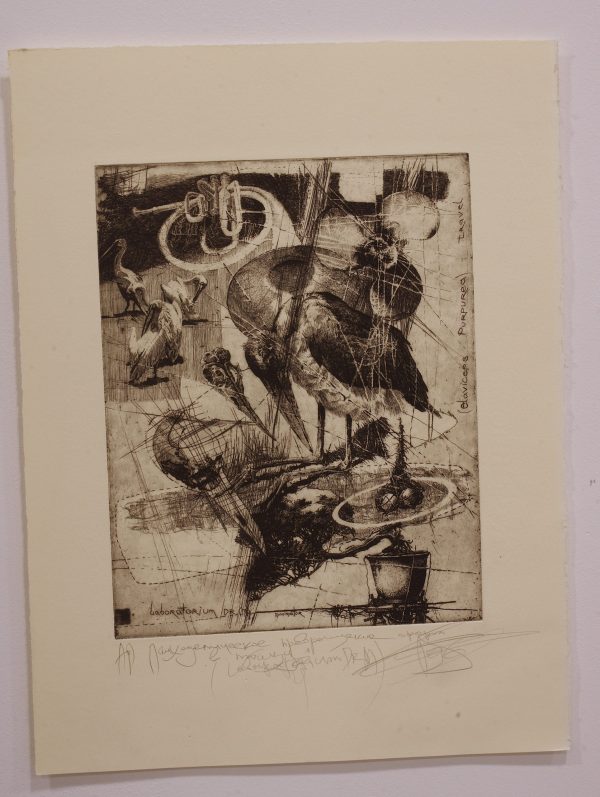 Psychedelic Phenomenon in Birds (Laboratorium Dr.M series). Plate 4 - Image 4