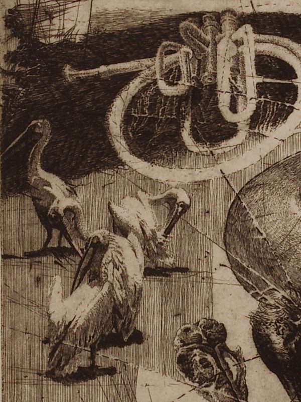 Psychedelic Phenomenon in Birds (Laboratorium Dr.M series). Plate 4 - Image 3