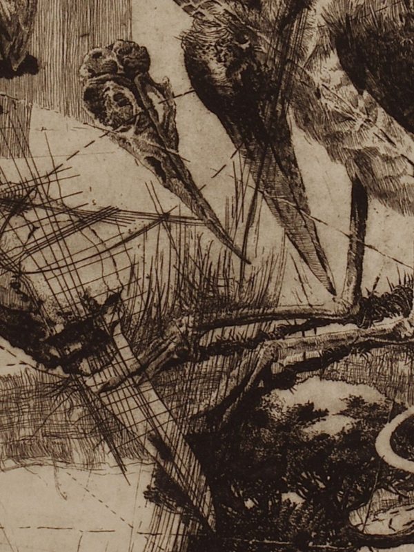 Psychedelic Phenomenon in Birds (Laboratorium Dr.M series). Plate 4 - Image 2