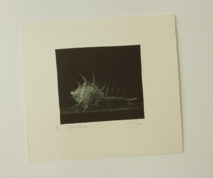 Shell - 2 - Image 2