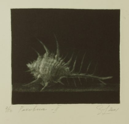 Shell - 2