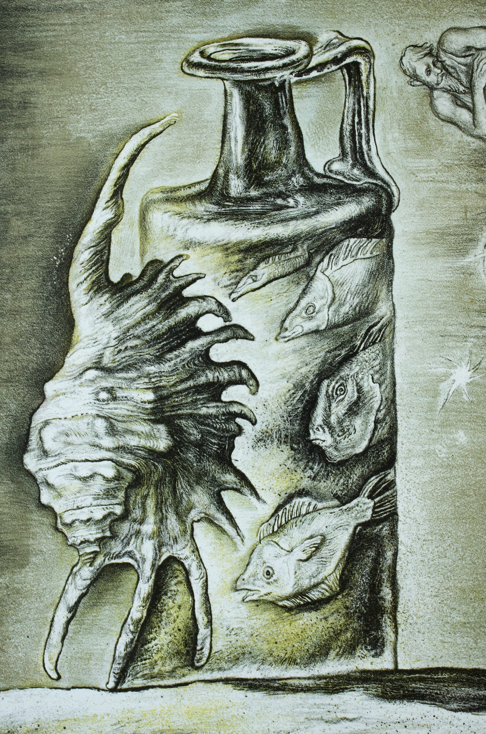 Whispers from the Shell
