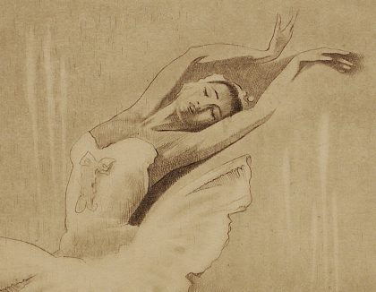 Swan Lake - Image 2