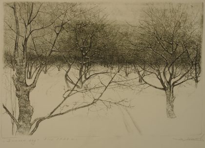 Winter Garden