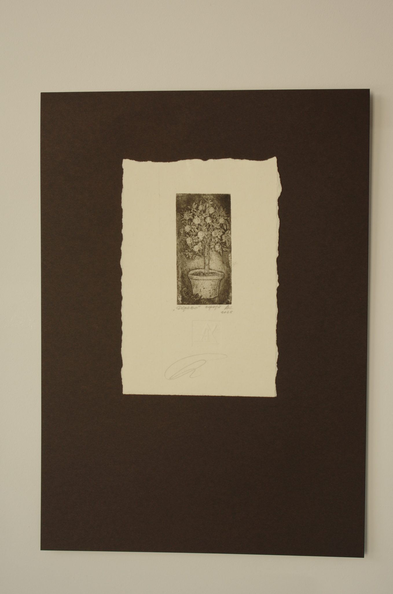 Tree - Image 3