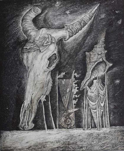 Skull and Shell